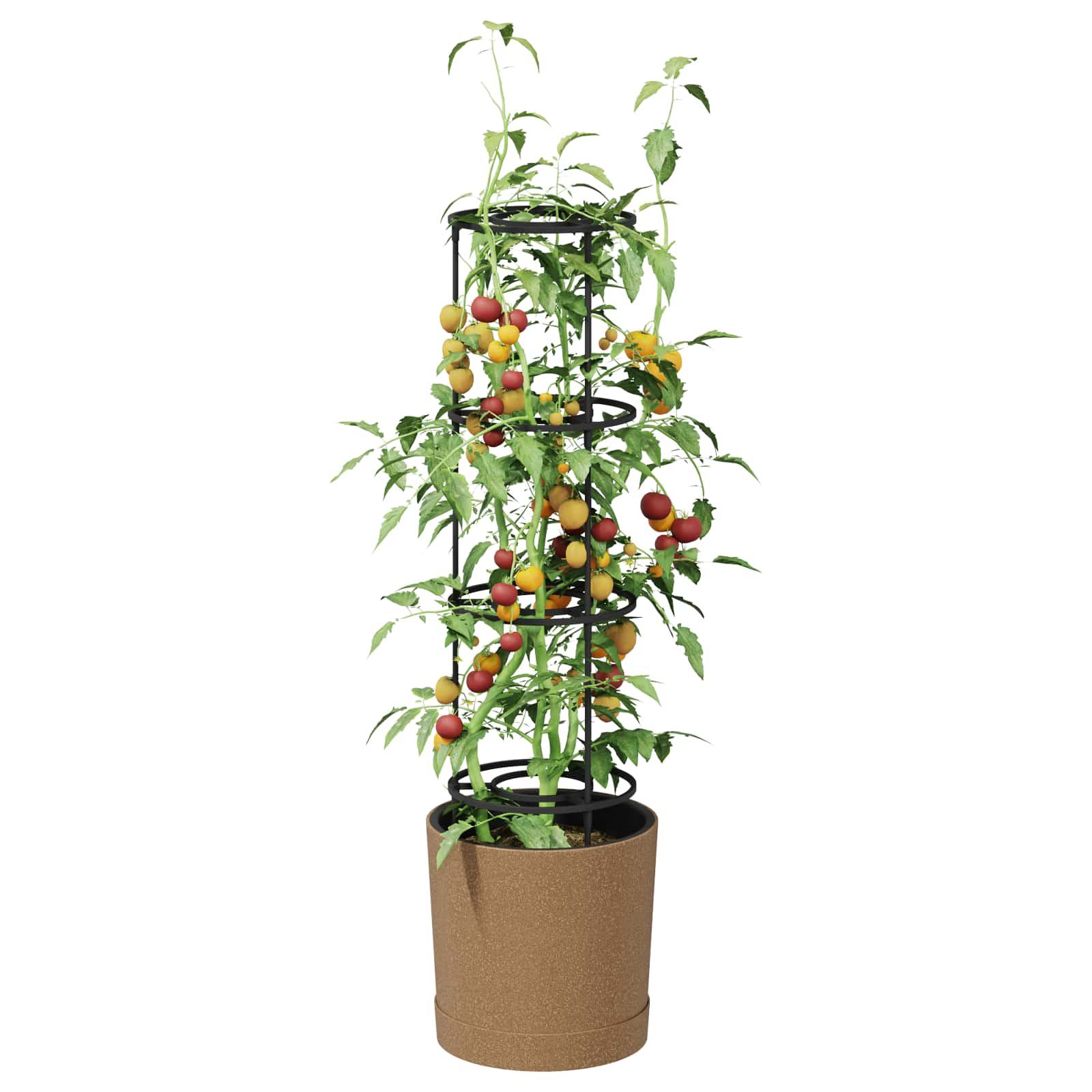 Coltivatore di pomodori Naturo ECO Ø 29 x 106 cm WPC | homemem39