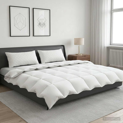 Piumone FULDA 200 x 220 cm Inverno 300 GSM 90% piuma d'oca
