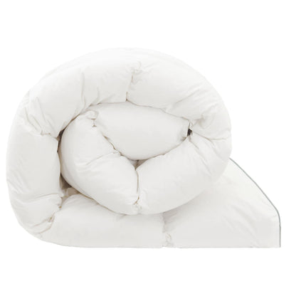 Piumone FULDA 220 x 240 cm Inverno 300 GSM 90% piuma d'oca | homemem39