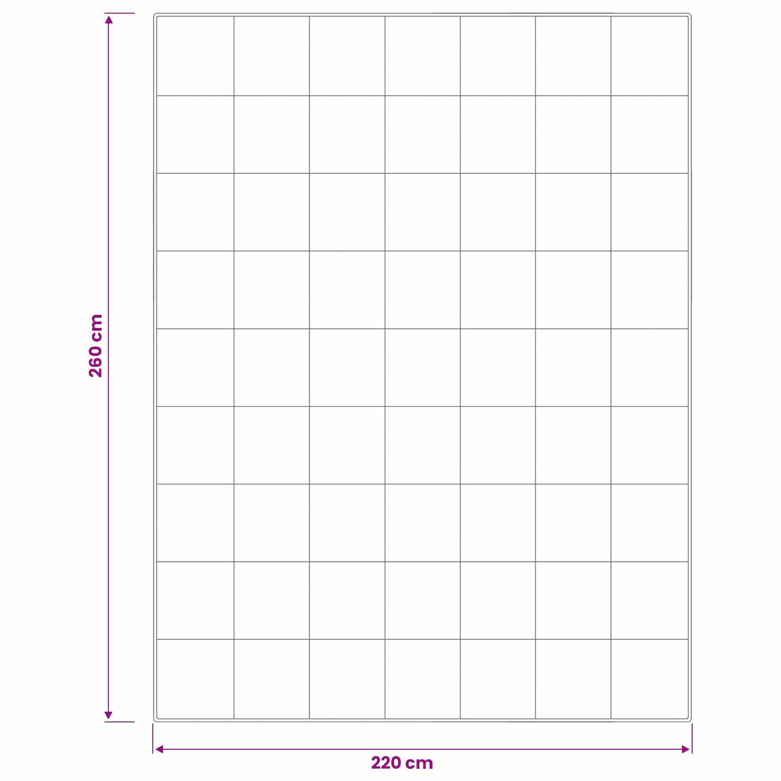Piumone FULDA 220 x 260 cm Inverno 300 GSM 90% piuma d'oca | homemem39