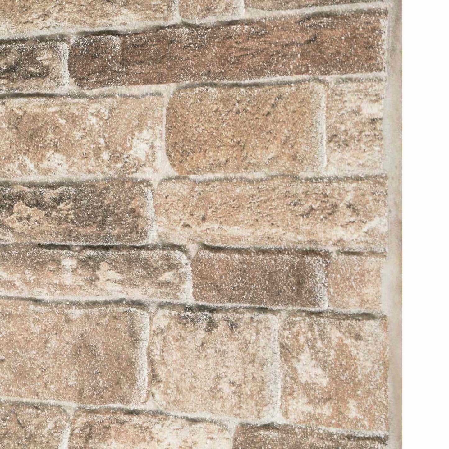Pannelli da parete 10 pcs Multicolore 100 x 50 cm Schiuma EPS