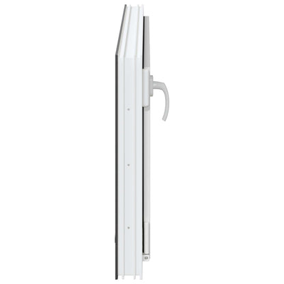 Finestra per Soffitta RISOR 100 x 50 cm PVC e Vetro Antracite | homemem39