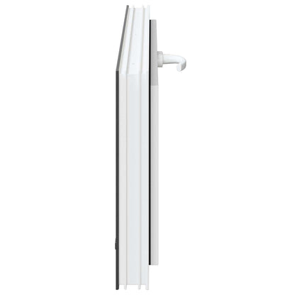 Finestra per Soffitta RISOR 100 x 40 cm PVC e Vetro Antracite | homemem39