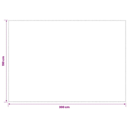 Tappeto Antracite 190 x 300 cm 100% Poliestere 3 mm Lavabile