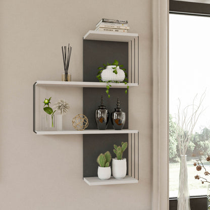 Wall Shelf - homemem39