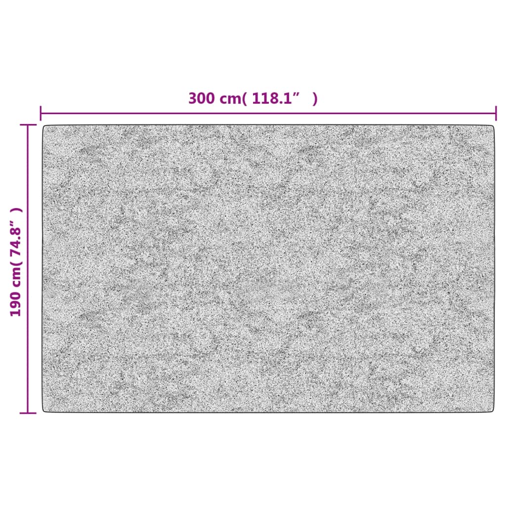 Tappeto Lavabile Nero e Bianco 190x300 cm Antiscivolo - homemem39